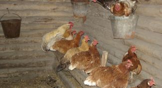 Картинка по теме - как строить курятник