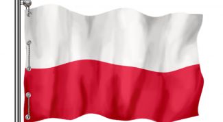 Картинка по теме - как получить гражданство польши