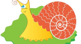 Картинка по теме - как создавать мультфильмы на компьютере