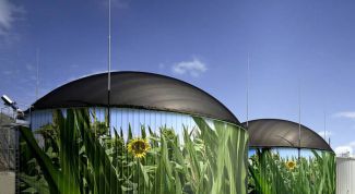 Картинка по теме - как получать биогаз