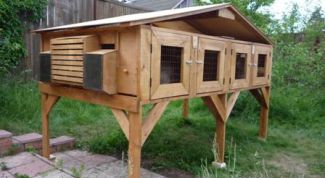 Картинка по теме - как строить клетки для кролика