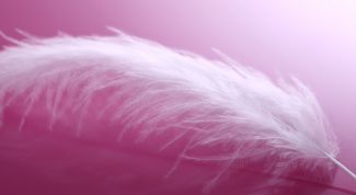 Картинка по теме - как стирать перо