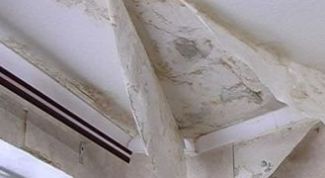 Картинка по теме - как удалить сырость