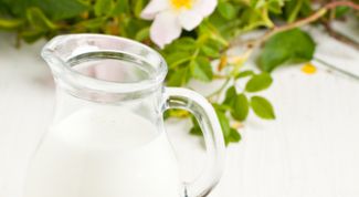 Картинка по теме - как устраивать разгрузочные дни