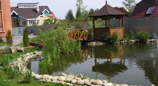 Картинка по теме - как построить озеро