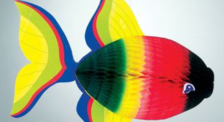 Картинка по теме - как сделать галерею на сайте