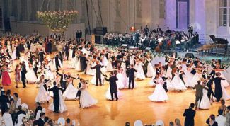 Картинка по теме - как попасть на венский бал