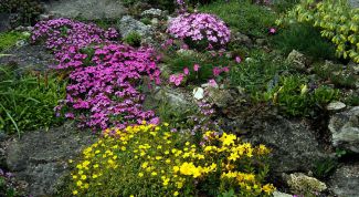 Картинка по теме - как устроить альпийскую горку