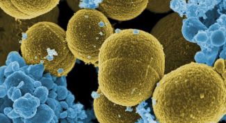 Картинка по теме - как узнать о паразитах в организме