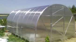 Картинка по теме - как построить теплицу своими рукам из поликарбоната