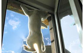 Картинка по теме - как установить москитную сетку на окно