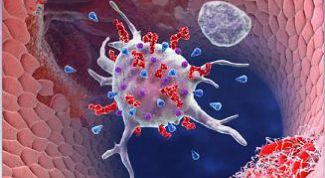 Картинка по теме - как увеличить тромбоциты в крови