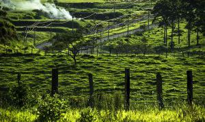 Картинка по теме - как узнать собственника участка