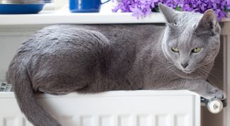 Картинка по теме - как сэкономить на отоплении