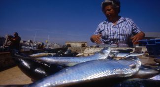 Картинка по теме - как выбирать селедку