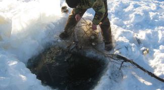 Картинка по теме - как поставить сеть зимой