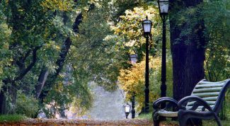 Картинка по теме - как провести каникулы дома