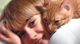 Картинка по теме - как приучить животное к хозяину