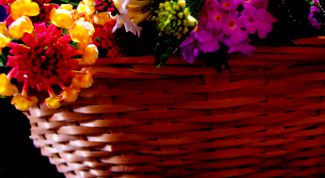 Картинка по теме - как сплести корзину из лозы