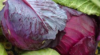 Картинка по теме - как сушить капусту