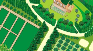 Картинка по теме - как спланировать огород