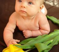 Картинка по теме - как чистить новорожденному нос