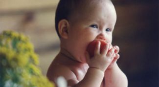 Картинка по теме - как приучить ребёнка к твёрдой пище