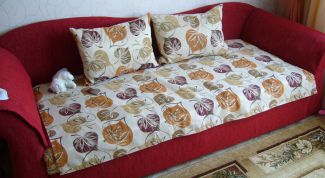 Картинка по теме - как убрать запах с дивана