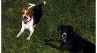 Картинка по теме - как сделать закругленные края