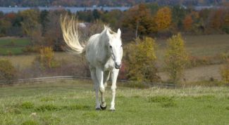 Картинка по теме - как притянуть к себе свои мысли