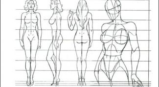 Картинка по теме - как рисовать пропорцию человека