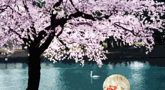 Картинка по теме - как рисовать дерево сакуры