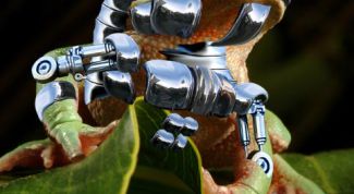 Картинка по теме - как рисовать с помощью планшета