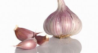 Картинка по теме - как сажать чеснок весной