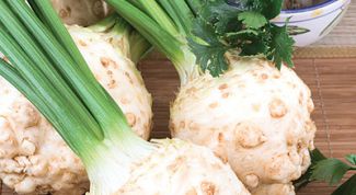 Картинка по теме - как посадить сельдерей