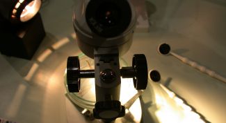 Картинка по теме - как проверить гипотезы