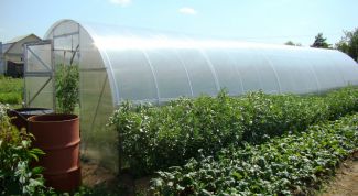 Картинка по теме - как организовать теплицу