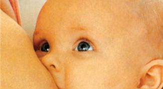 Картинка по теме - как сбить температуру при кормлении грудью