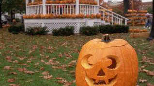 Картинка по теме - как сделать беседку садовую