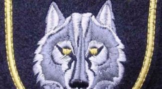 Картинка по теме - как пришить шеврон на китель