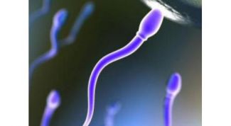 Картинка по теме - как сдать анализ на спермограмму