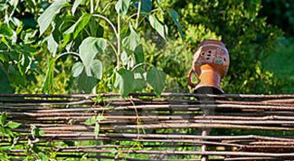 Картинка по теме - как сплести забор