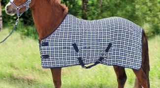 Картинка по теме - как сшить попону