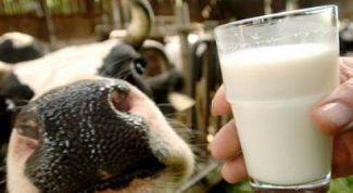 Картинка по теме - как стерилизовать молоко