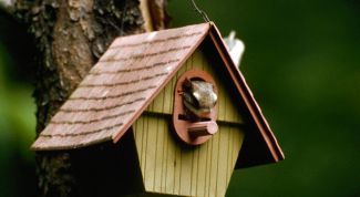 Картинка по теме - как строить скворечник