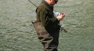 Картинка по теме - как удить рыбу