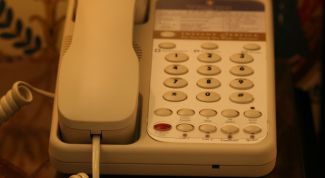 Картинка по теме - как узнать регистрационный номер страхователя