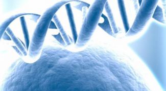 Картинка по теме - как проверить отцовство