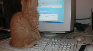 Картинка по теме - как убрать пароль при загрузке