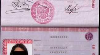 Картинка по теме - как узнать номер и серию паспорта